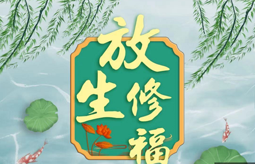 寺院管理軟件-放生修福系統正式上線! 寺院管理軟件-放生修福系統正式上線!